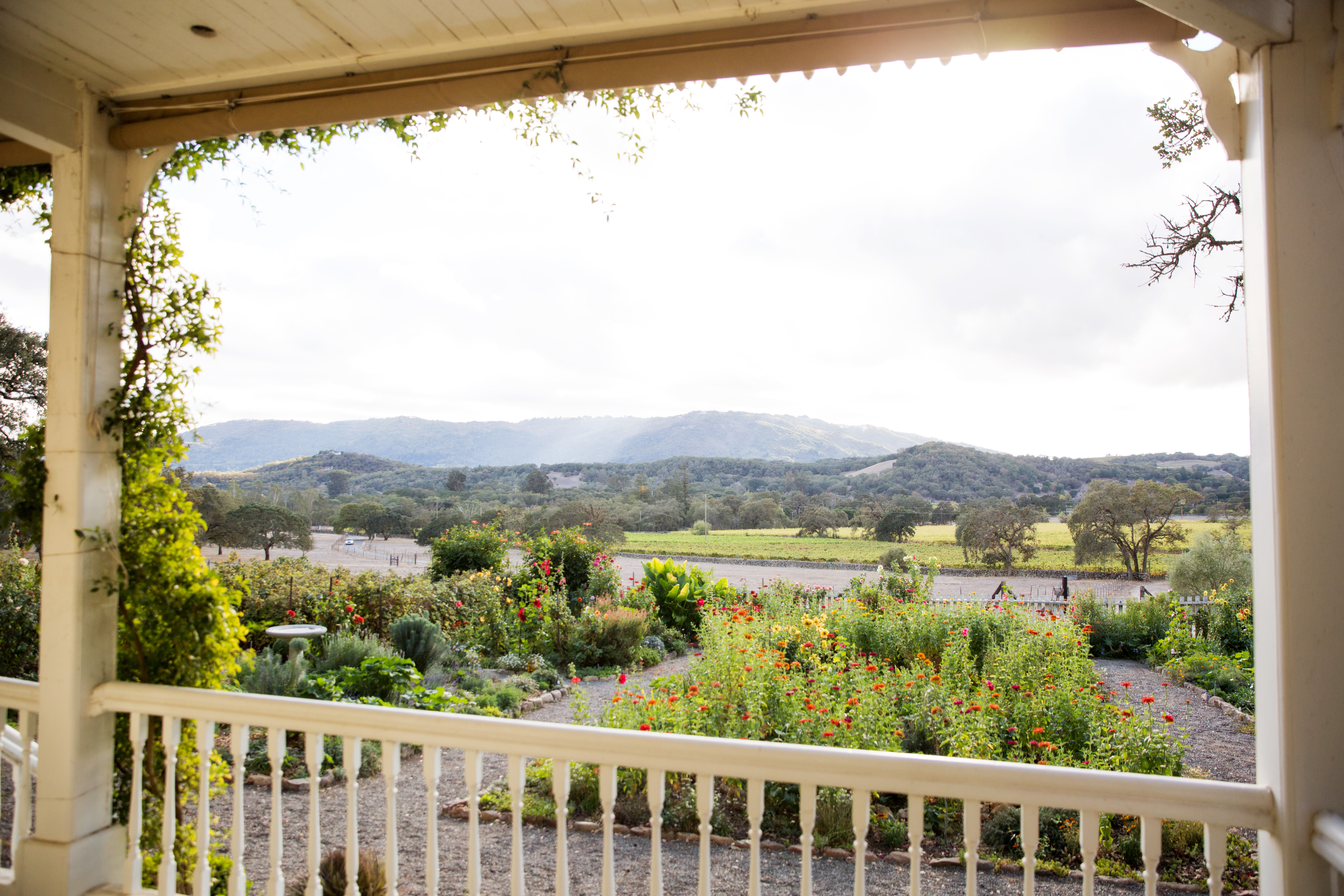 venue photo